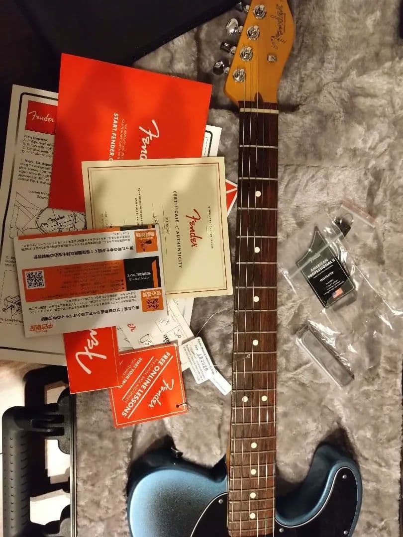 ※vivi　fender american professional ⅱ