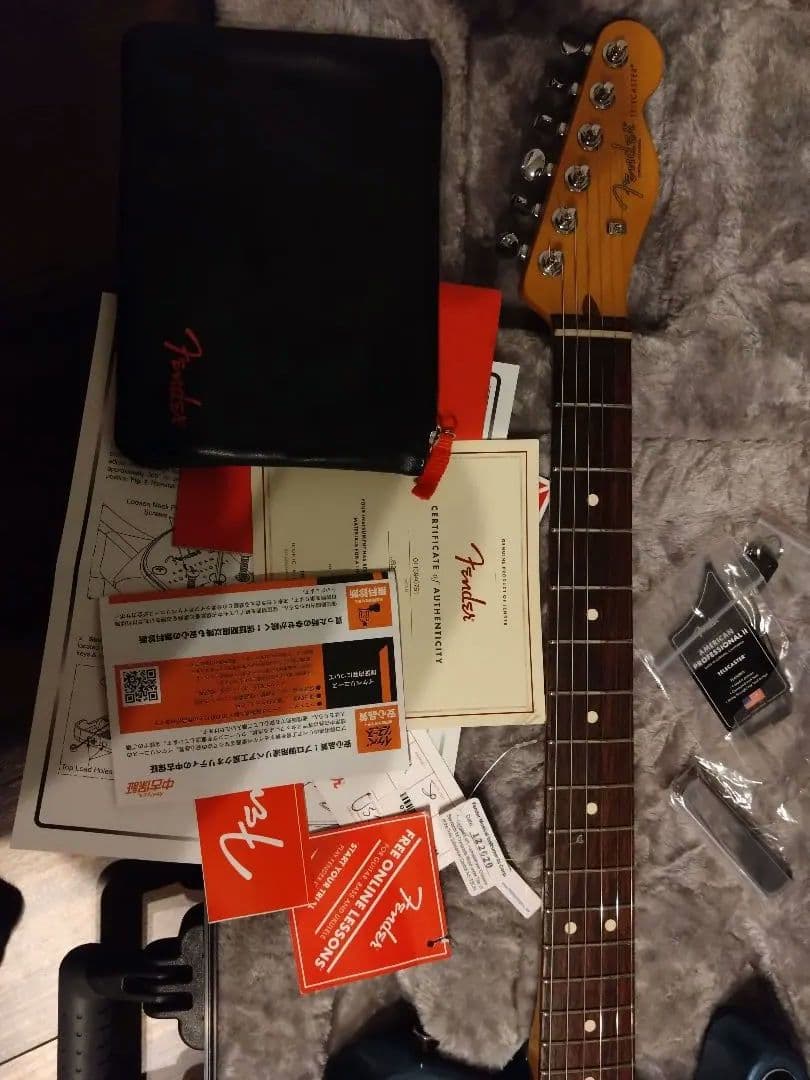 ※vivi　fender american professional ⅱ