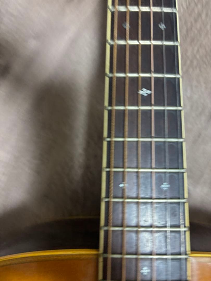 Morris & Co. アコースティックギター W 50 H