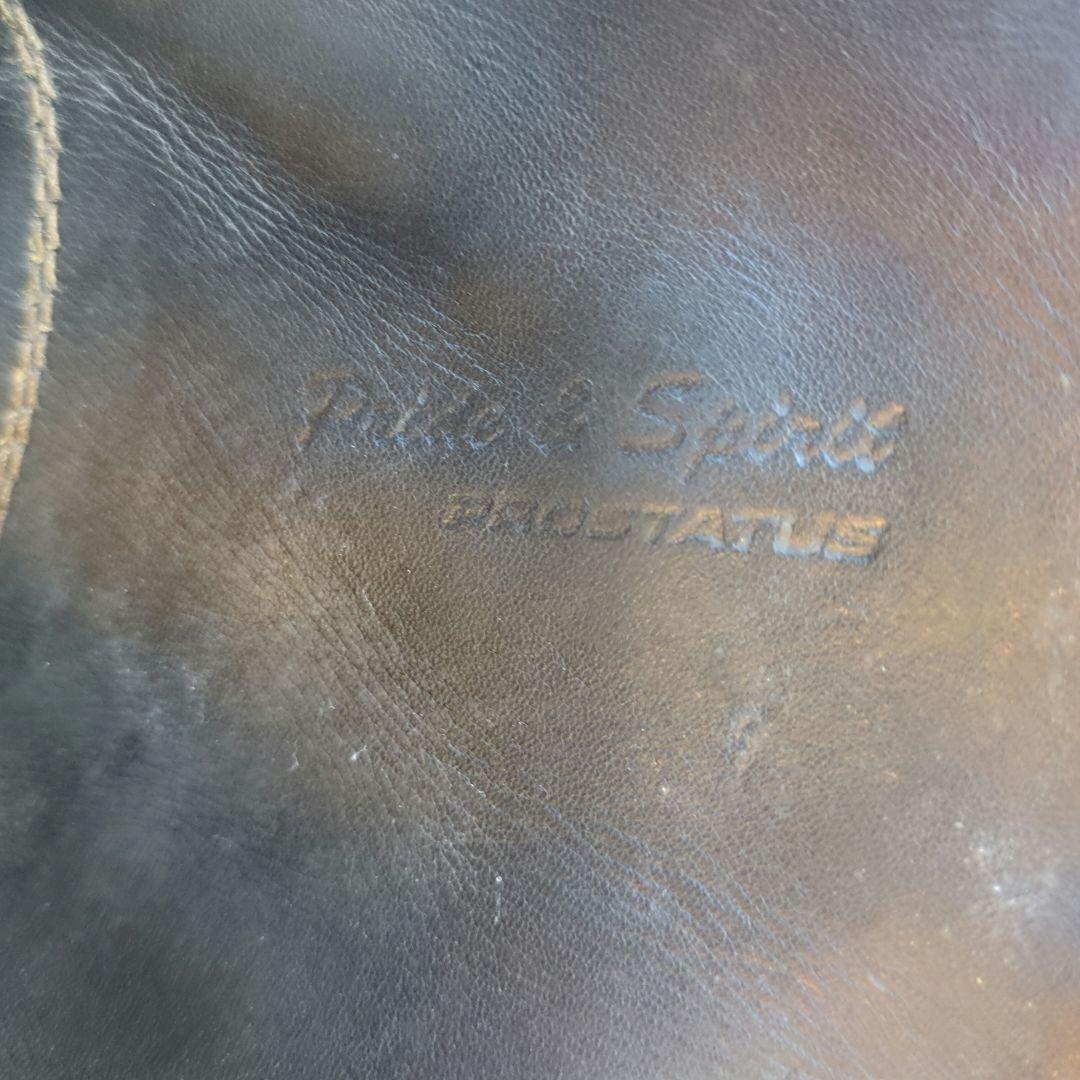 ZETT プロステイタス プレミアム 硬式ミット BPROCM920P