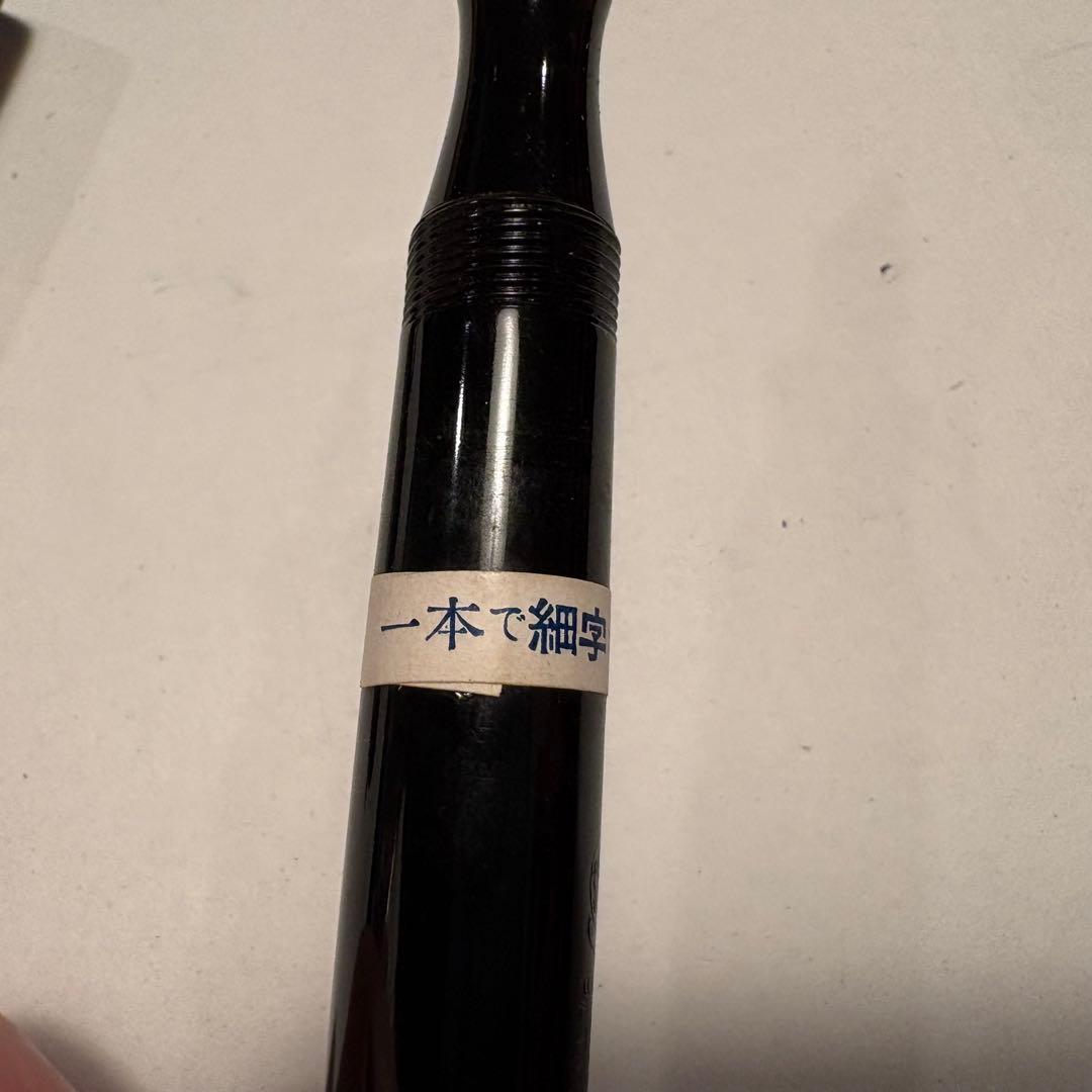 【パンダ】sailor セーラー 万年筆 大正　KG8 箱あり