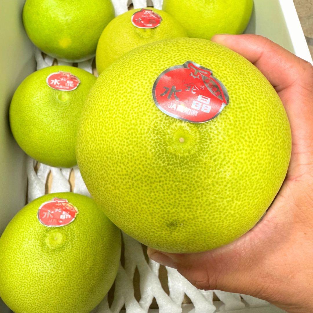 文旦　水晶文旦　柑橘　　12