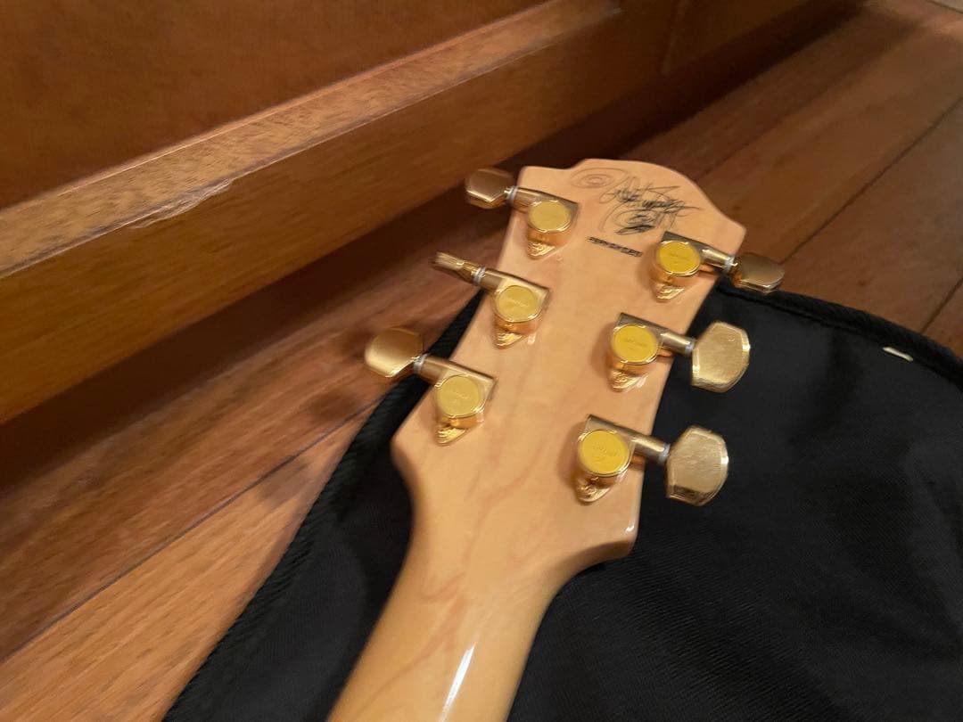 ギター Fernandes MG-120X (MG-145X MG-165X)hide