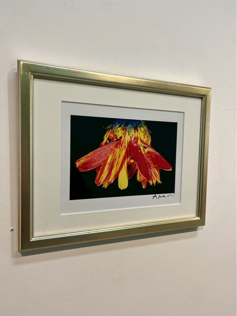 荒木経惟 写真作品 花 サイン入 額装