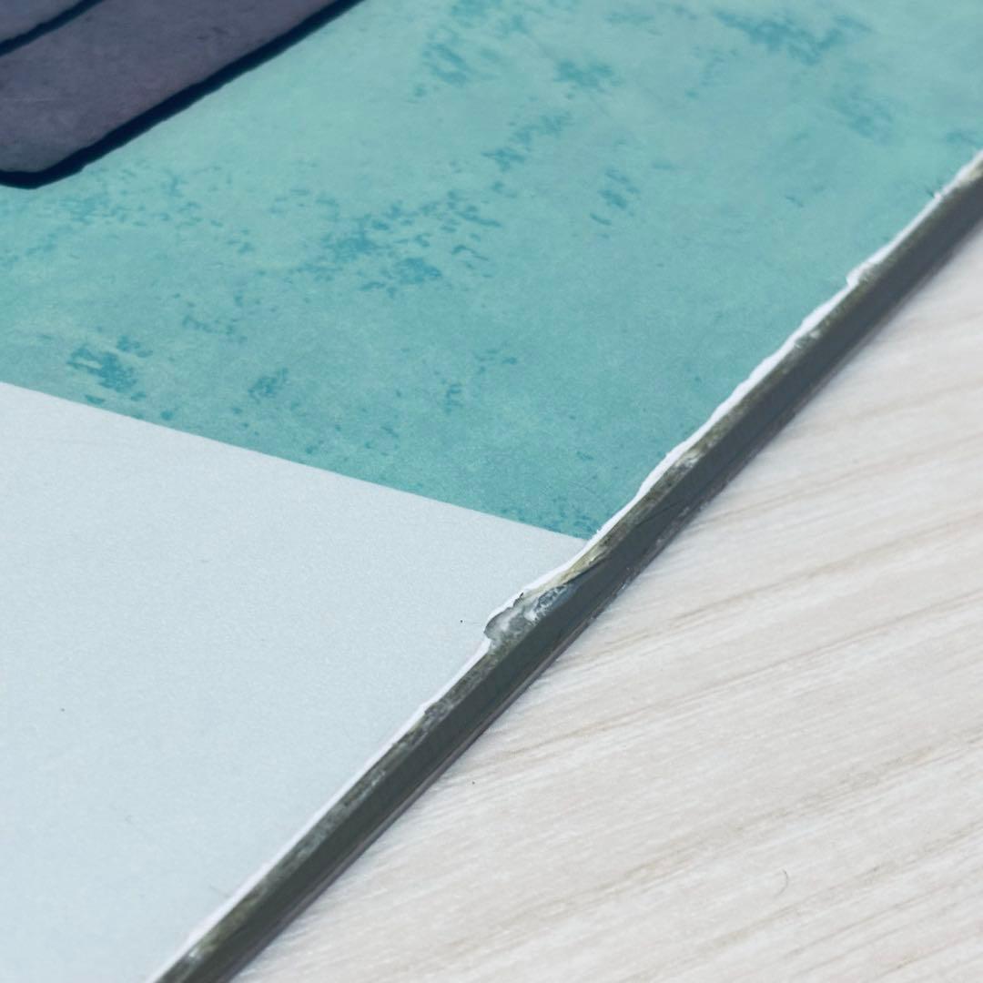 売り切り　OGASAKA CT-IZ 150cm オガサカ カービング ワニ