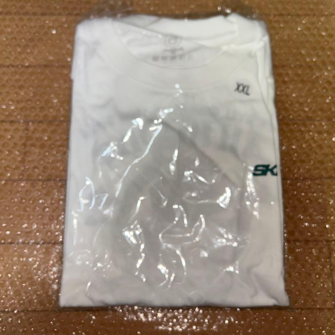 SKRYU All In One グッズ　THEATER まとめ売り