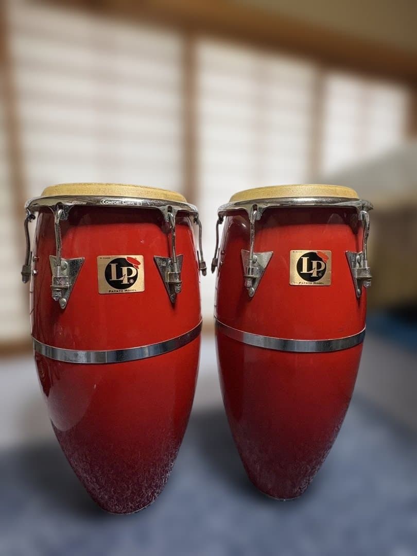 コンガ　キント　LP PATATO MODEL