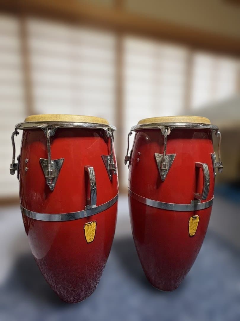 コンガ　キント　LP PATATO MODEL