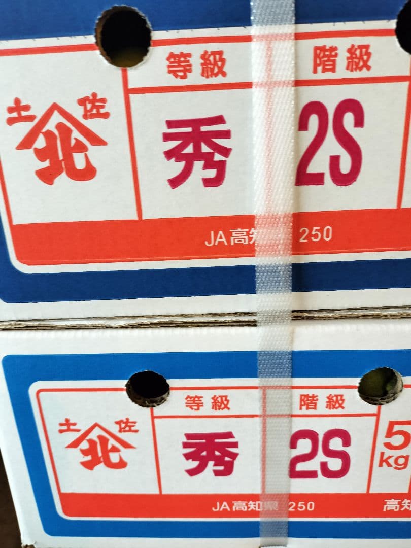 高知産　約１０ｋｇ　甘い露地山北みかん　２Ｓ３Ｓ　秀品　北海道沖縄発送不可