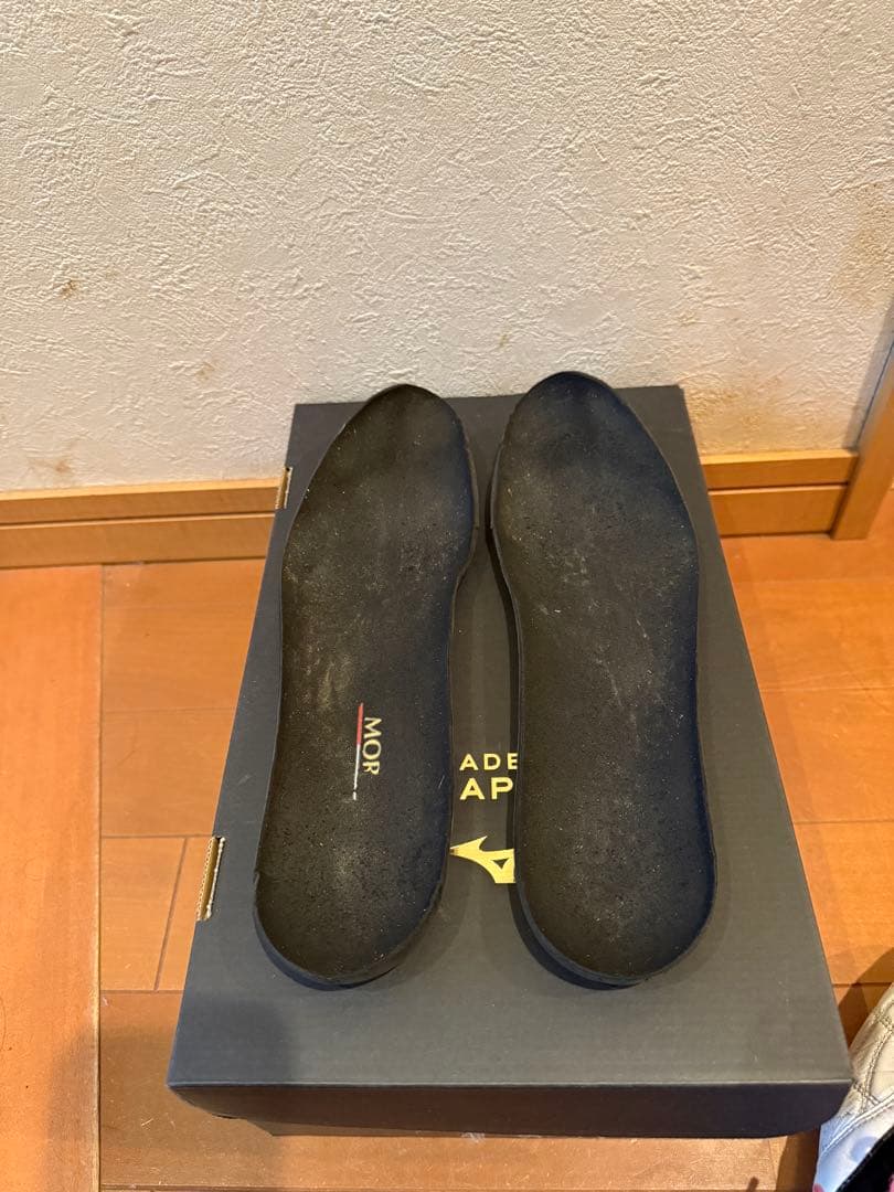 Mizuno モレリア2 JAPAN 27.5㎝