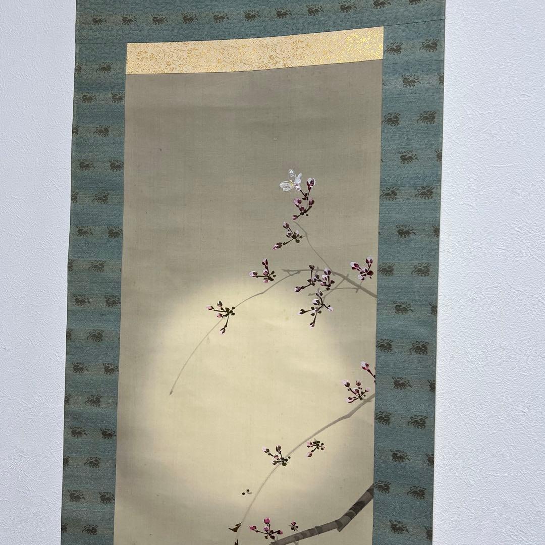 今井景樹 朧月橘花 桜月 掛軸 おぼろ月と桜 印章付き 掛け軸