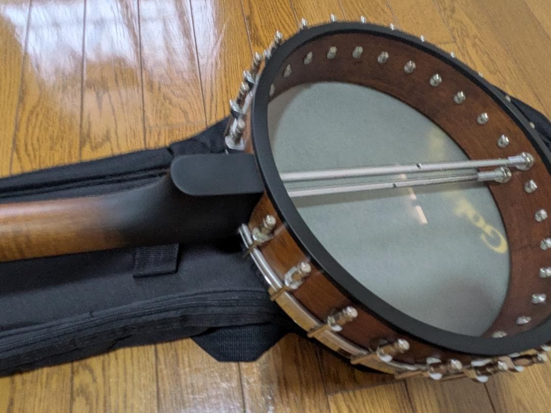 Gold Tone IT-19 Banjo 4弦 アイリッシュバンジョー