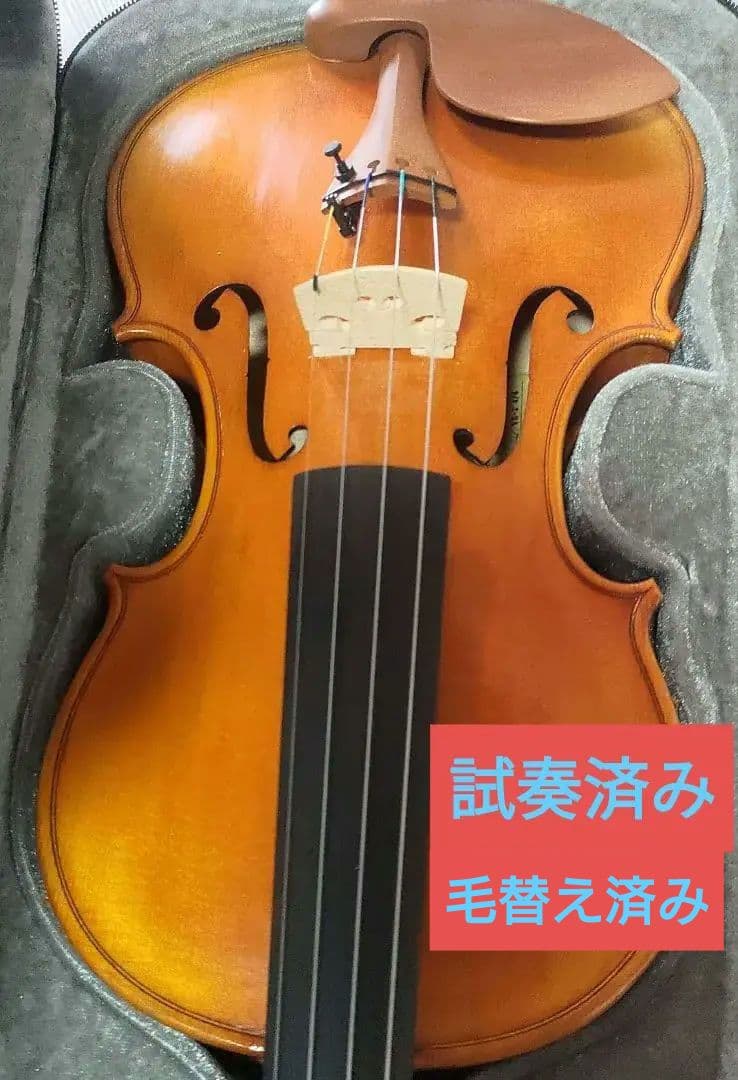 カルロジョルダーノ ヴァイオリン VS-2 4/4 ケース、弓、松脂付き