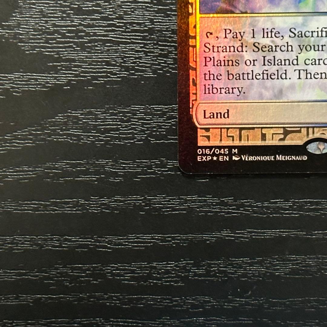 MTG 溢れかえる岸辺 EXP Foil