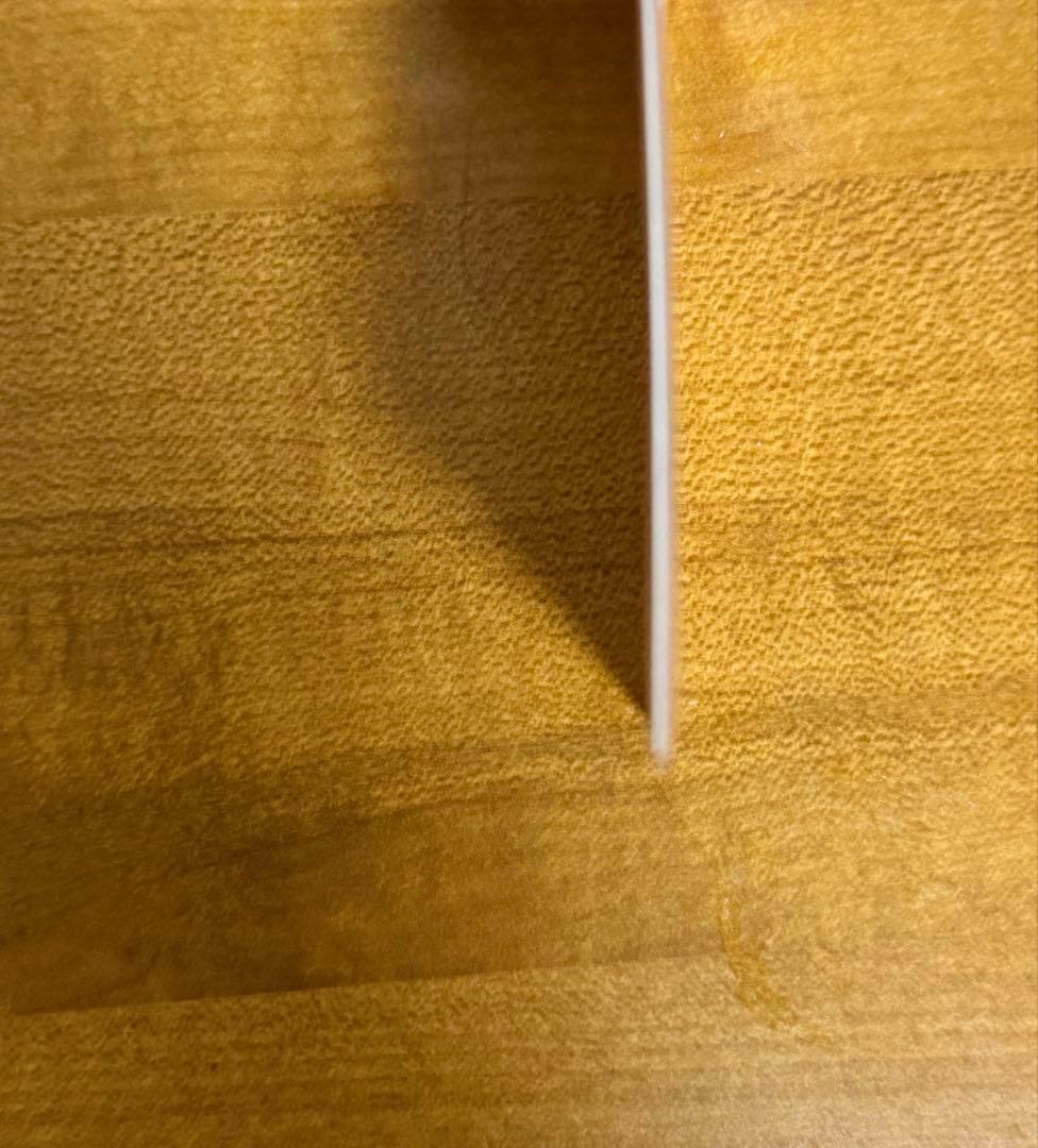 ハズビンホテル hazbin hotel プロモーションカード アラスター 1