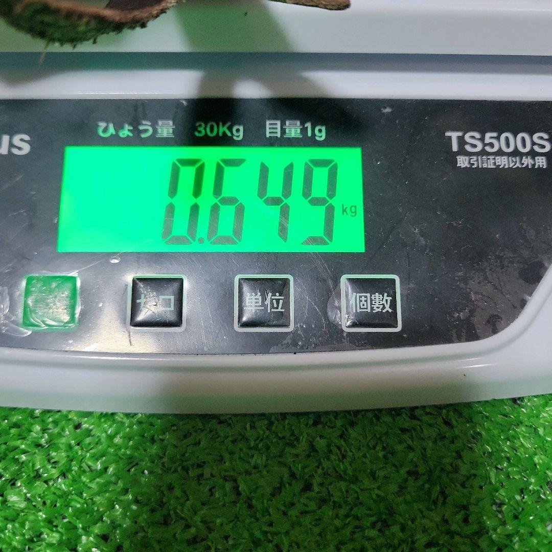 ミズノプロ 耕作オーダー 投手用 グローブ 個人刺繍なし ミズプロ