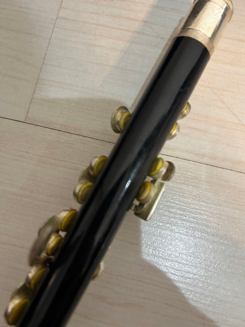 J.Michael Jマイケル ピッコロ