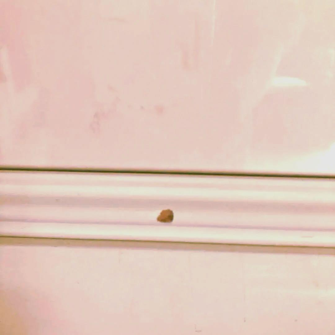 ディズニーの版画（額付き）