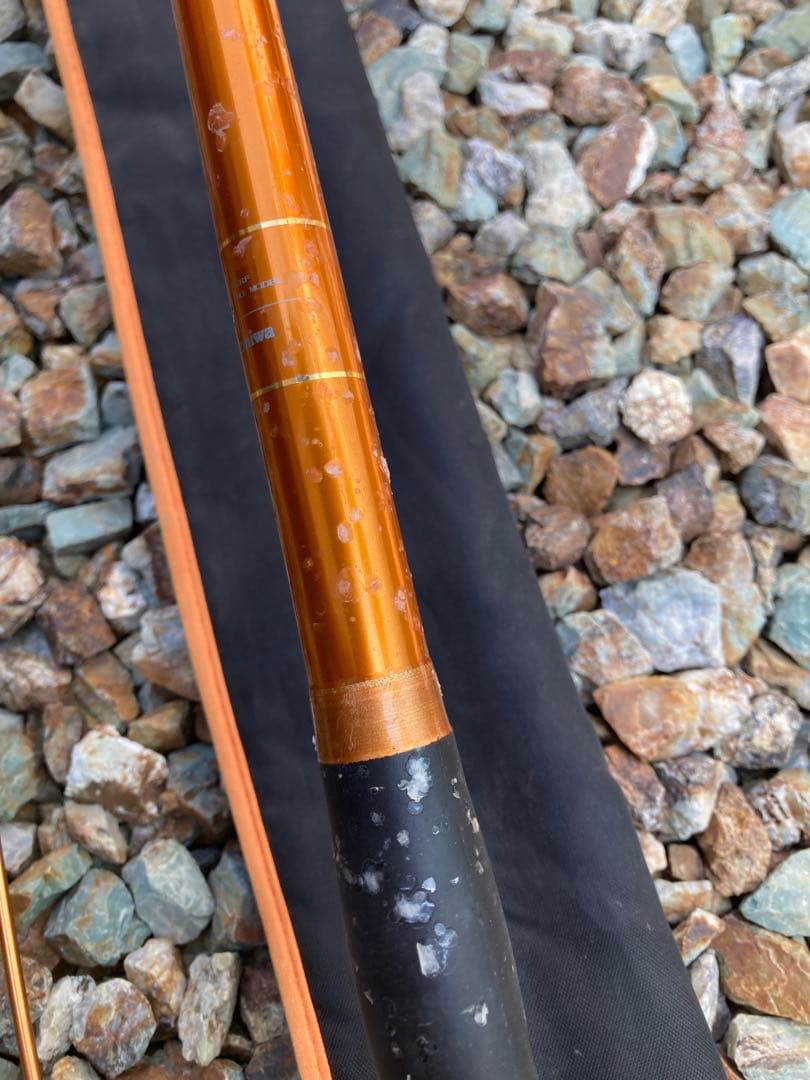 リール Daiwa CAST'IZM 18-295 TOURNAMENT SURF 35