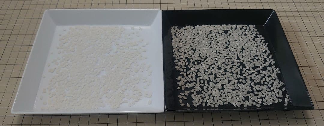 令和7年度 埼玉県産⭐つきあかり⭐白米29キロ 送料無料