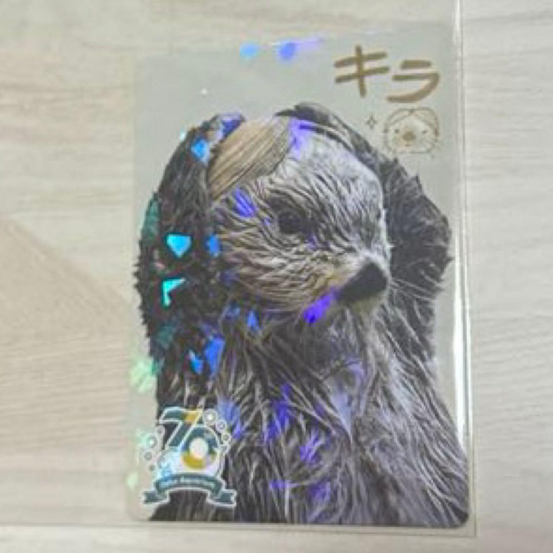 か*ま様 鳥羽水族館 70th コレクションカード レア キラちゃん