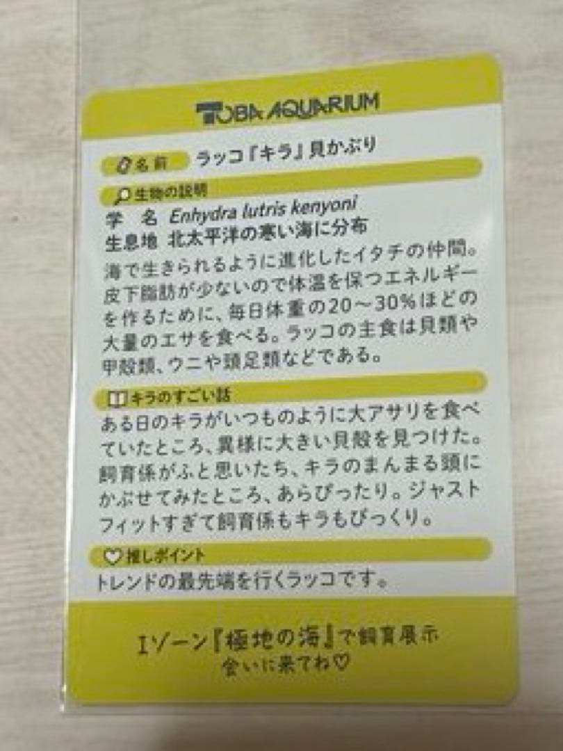 か*ま様 鳥羽水族館 70th コレクションカード レア キラちゃん