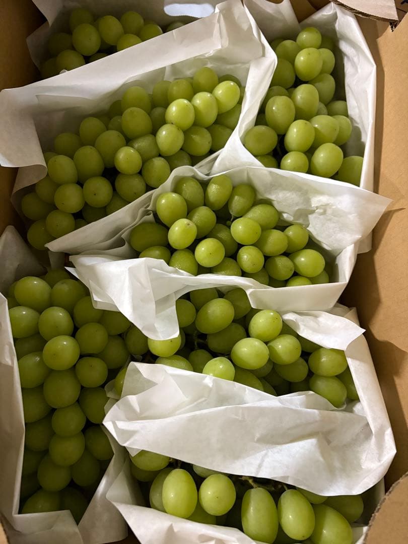 茨城県産　特大シャインマスカット　7房セット　5kg