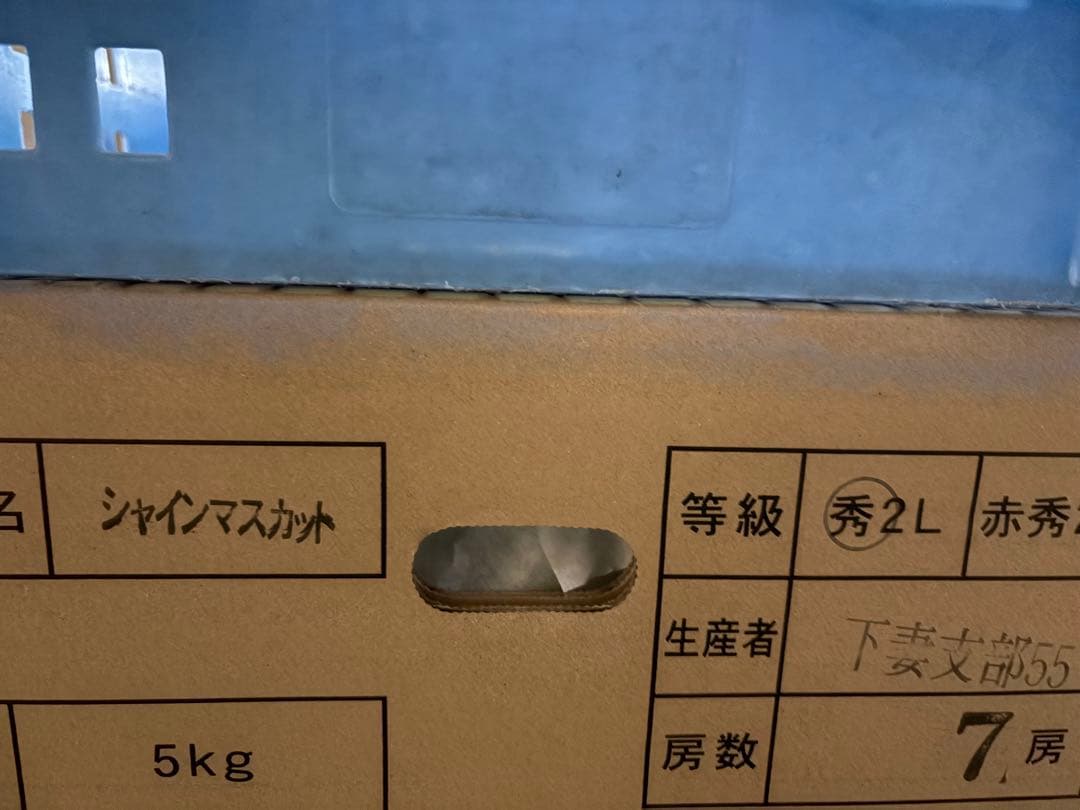 茨城県産　特大シャインマスカット　7房セット　5kg