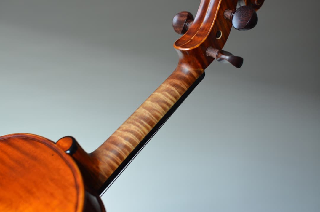 【本体のみ】Gliga Cristian Maestro バイオリン 4/4