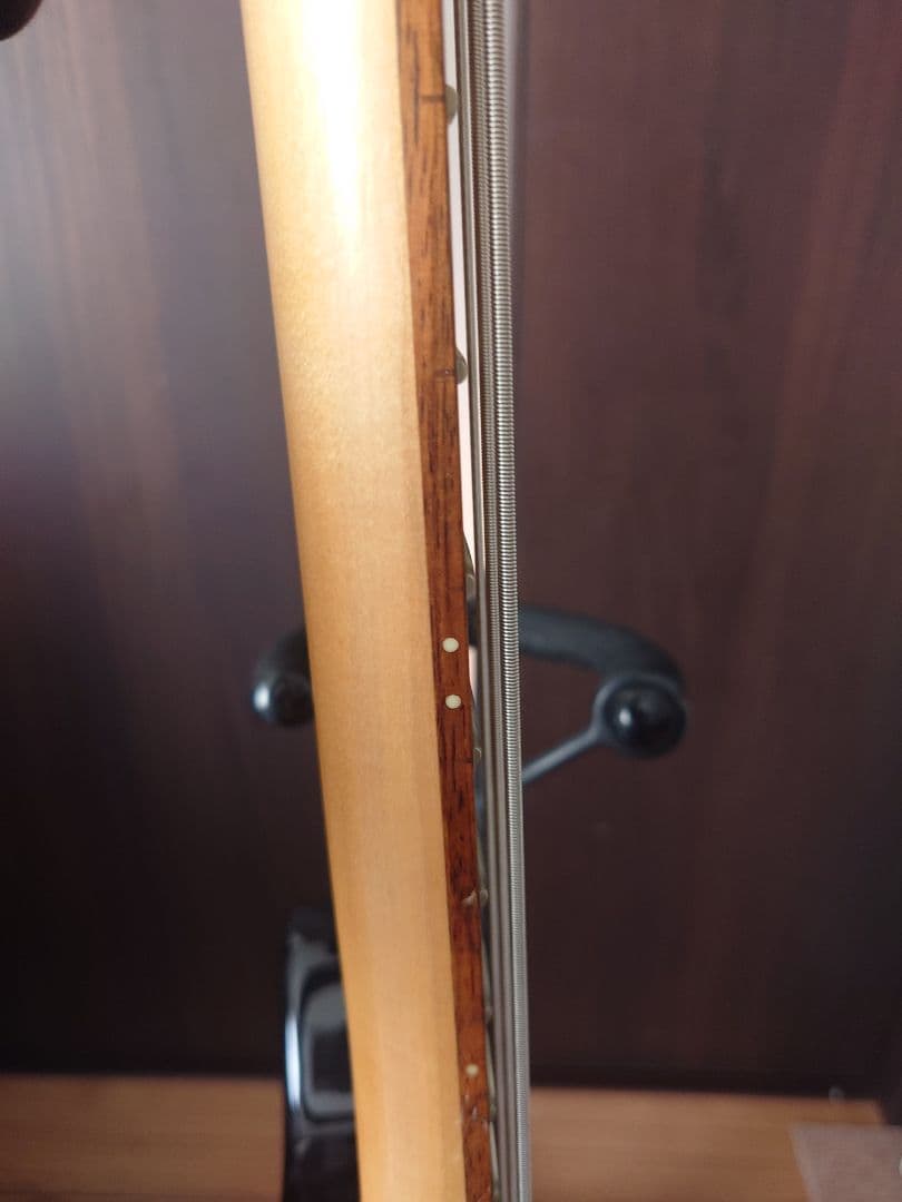 ベース Rockbass by Warwick BLACKHAWK