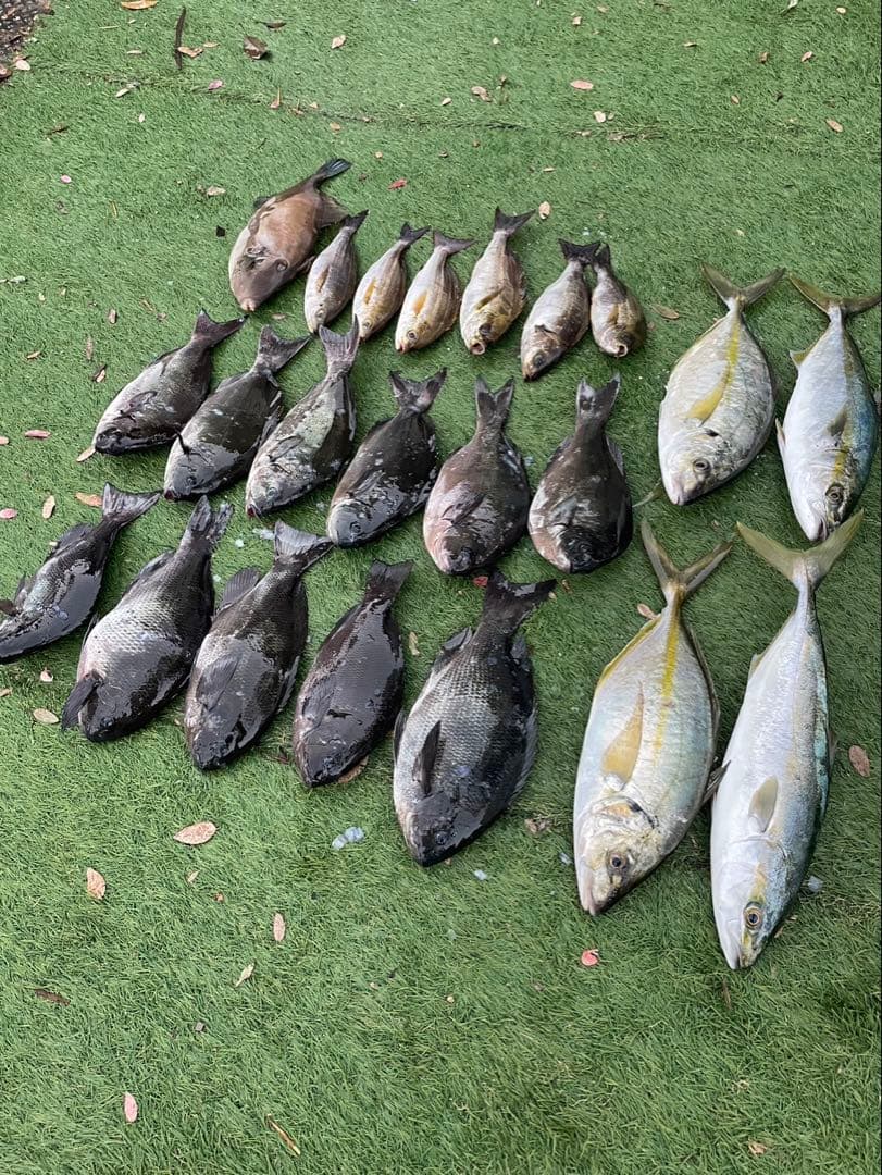 インテッサG4 50 2号穂先詰