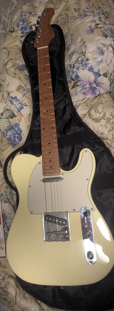 Bacchus BTE-dx ステンレスフレット　極美品