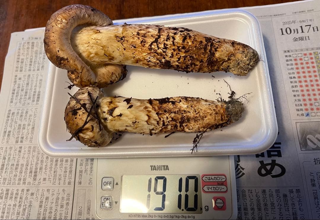 天然★山形県産松茸！