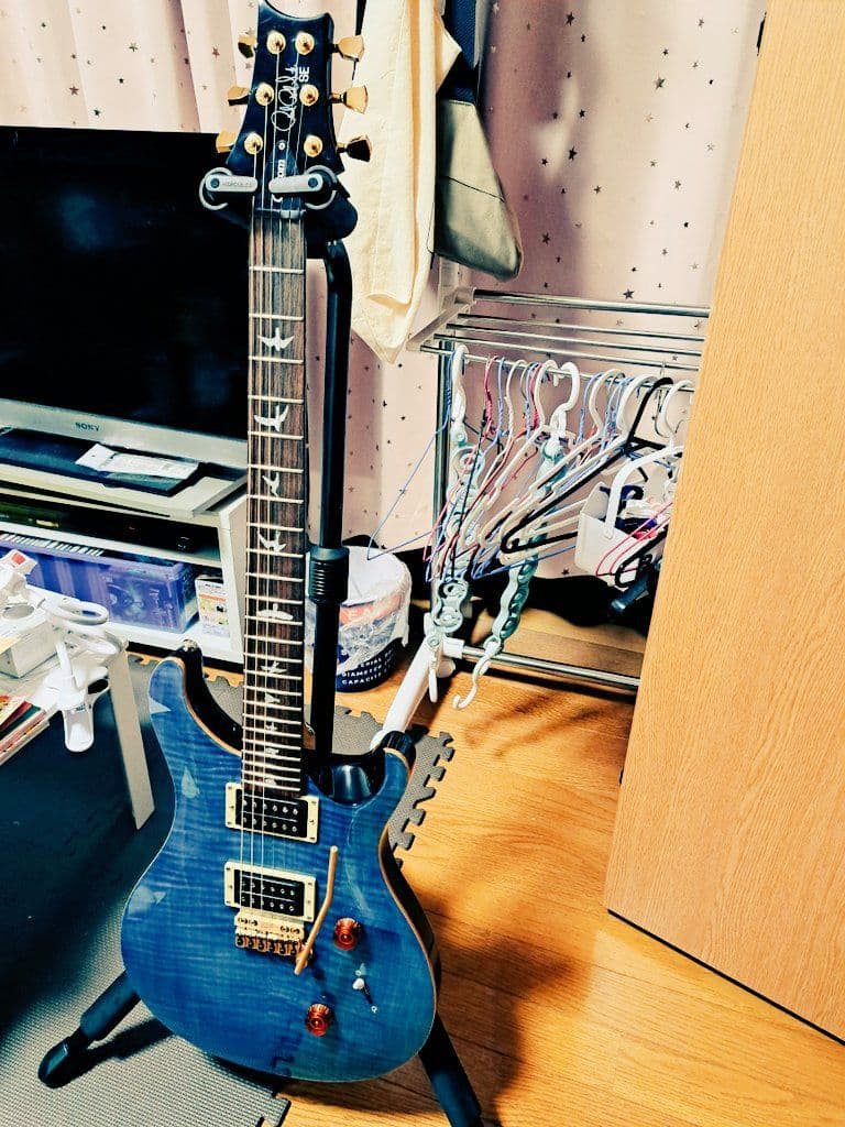 ギター PRS SE custom 24 Modify vegatrem