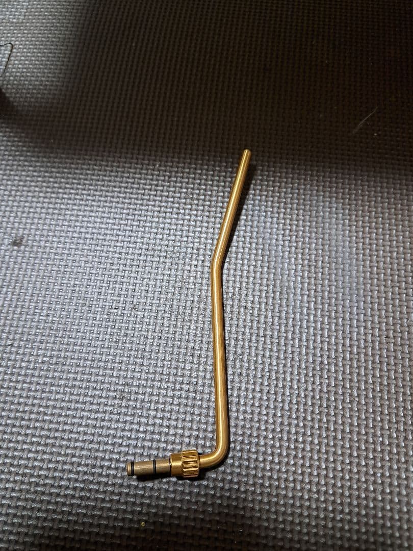 ギター PRS SE custom 24 Modify vegatrem