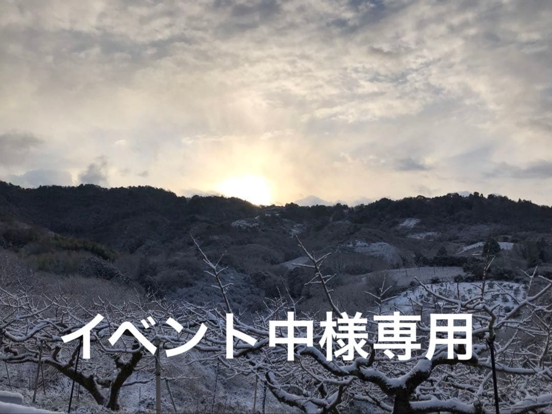 イベント中　和田果樹園の果物　10kg