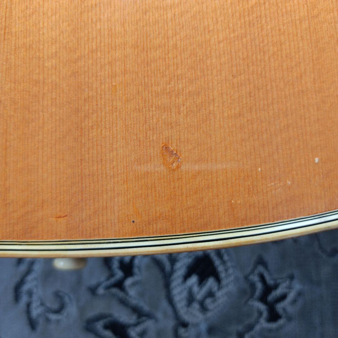 J-50モデル ラウンドショルダー Pearl パールTF-145 ヴィンテージ