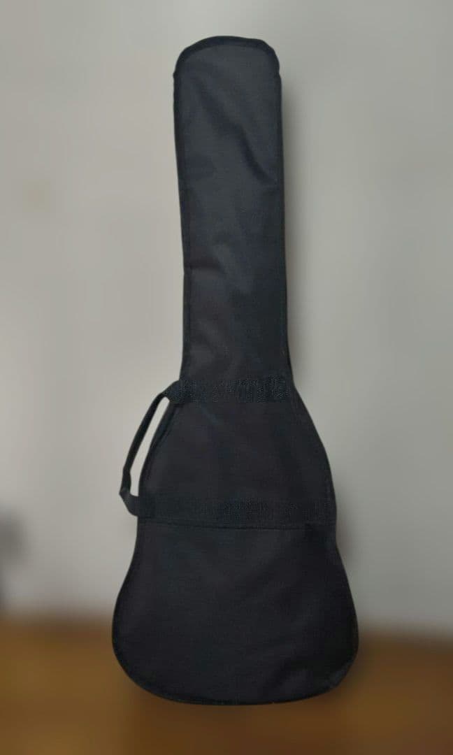 S.yairi アコースティックギター YM-02 箱&付属品有り