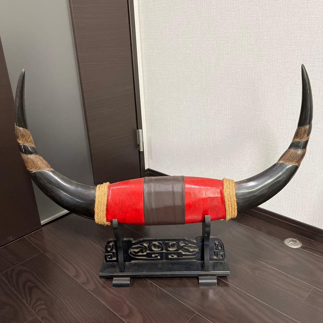 【水牛の角】《専用台付き》