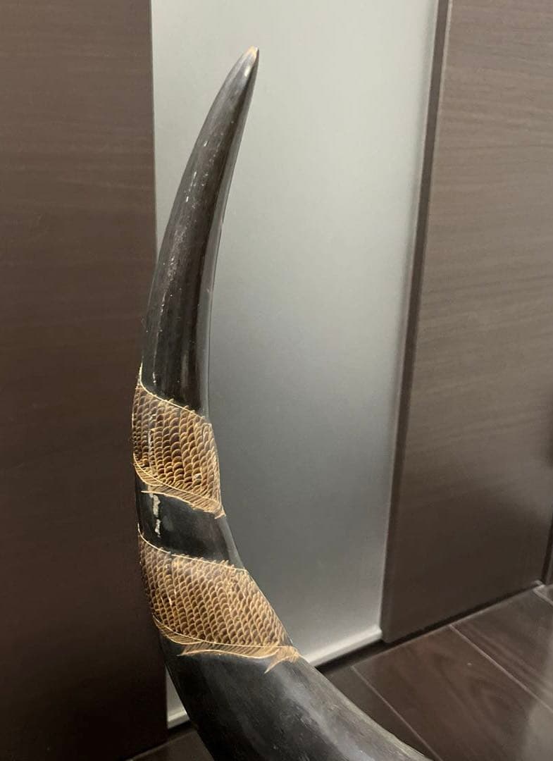 【水牛の角】《専用台付き》