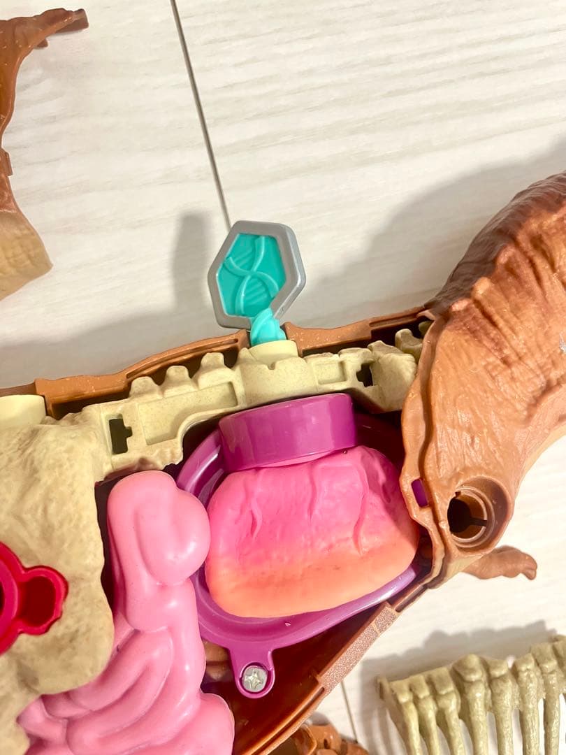 ジュラシックワールド ティラノサウルスレックス アナトミーキット (解剖モデル)