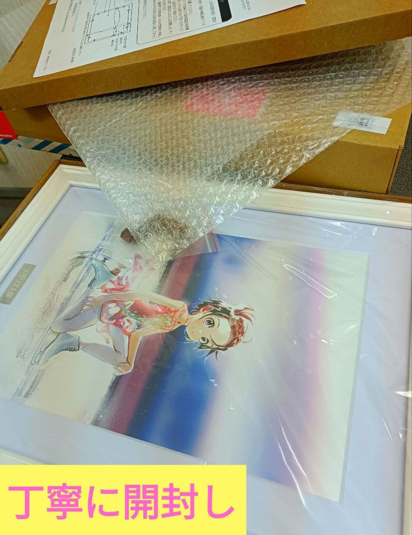 氷の上で踊るメダリストたちの美しい版画　Wセット