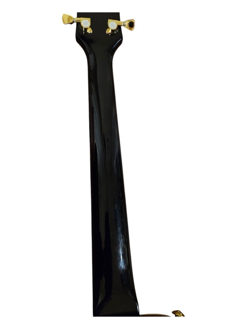 BUSKERS BLC300 レスポール　カスタム