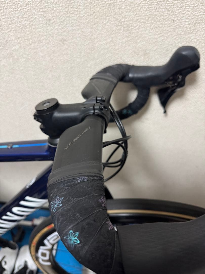 キャニオン　アルティメット　ヤングヒーロー