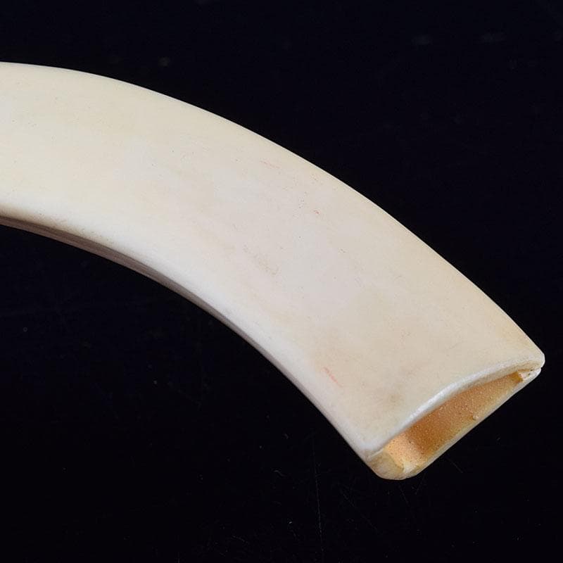 時代提げ物　獣骨　根付　石見根付　蟹文根付　M　8659