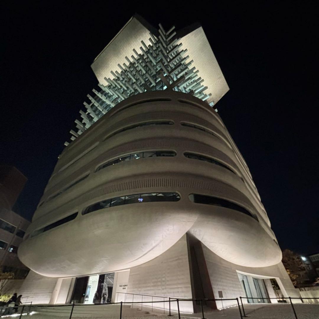 【韓国限定】NUDAKE（ヌデイク）　ROOI 紅茶（ルイボスティー）