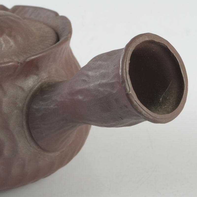 煎茶道具　萬古焼　英山造　紫砂　朱泥　鳥顔出　横手急須　V　9620