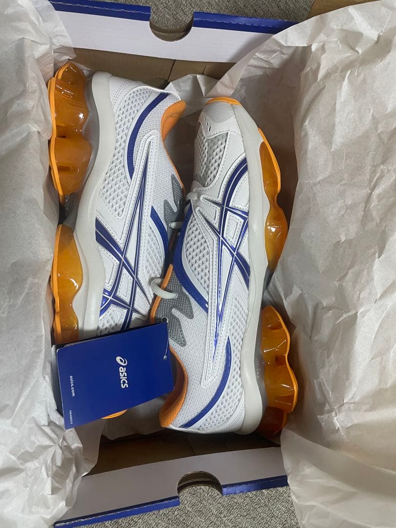 Kiko Kostadinov × Asics Gel-Quantum 28
