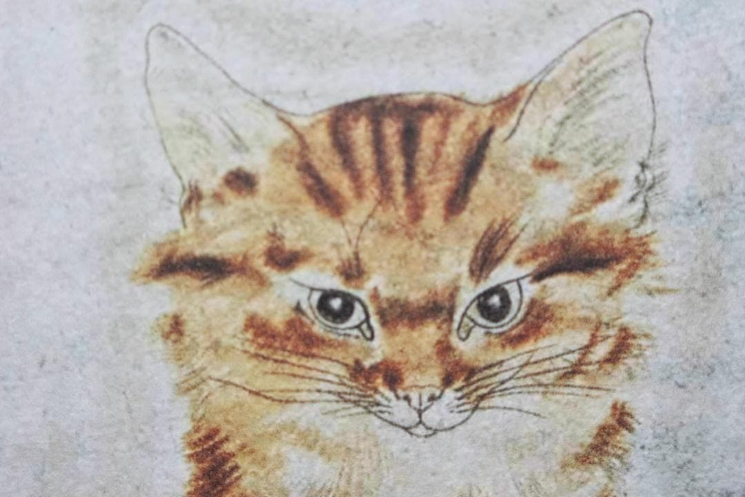 藤田嗣治 エスタンプリトグラフ 茶色い猫 5/75