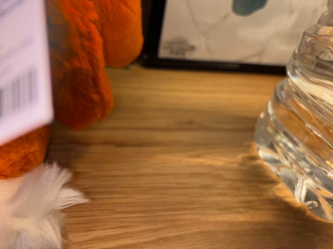 ジェリーキャット　25アニバーサリー　アンバーリーバニー　廃盤　レア　希少